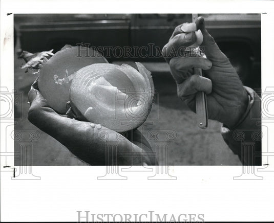 1985 Press Photo Spartan banner yellow globe onion - Historic Images