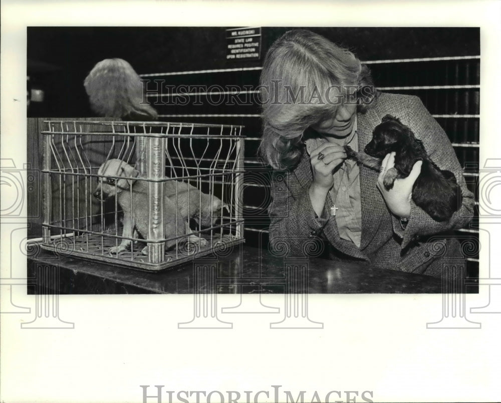 1980 Press Photo Animal Protection League - Historic Images