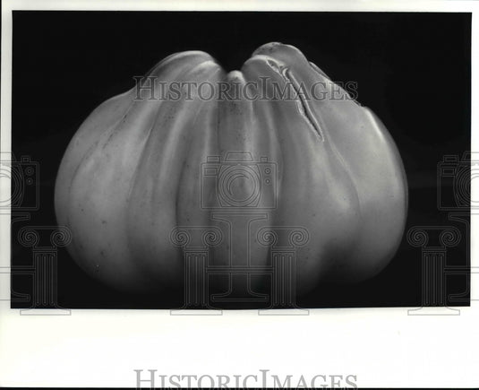 1989 Press Photo Heirloom tomato organically grown at Silver Creek Farm in Hiram - Historic Images