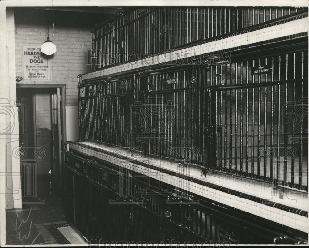 1932 Interior view of Animal Protective League Kennels  - Historic Images