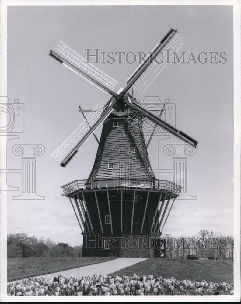 1980 Press Photo200-year-old Dutch Windmill De Zwaan, Windmill Island, Holland - Historic Images