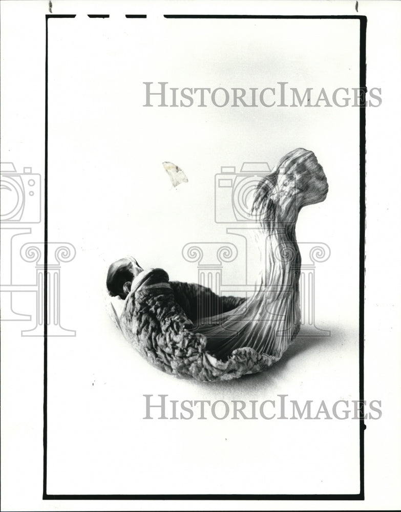 1985 Press Photo Oyster mushrooms - Historic Images