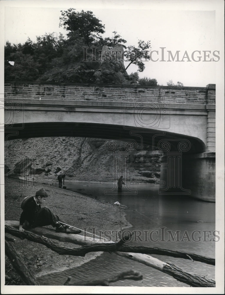 1939 Press Photo Little Cedar Porist in Rocky River Reservations - cva86688-Historic Images