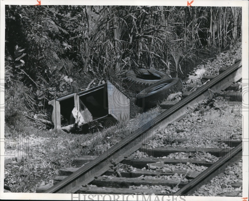 1976 Press Photo The litters around the RTA tracks at the Madison Street - Historic Images