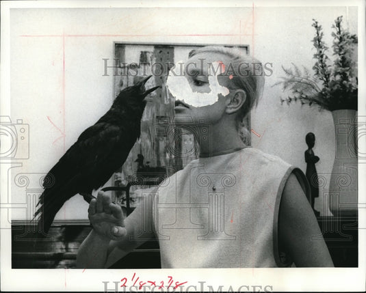 1965 Zoologist Phyllis Linnemann carrying an american crow - Historic Images