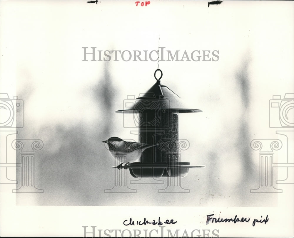 1984 Press Photo The Chikadee - Historic Images