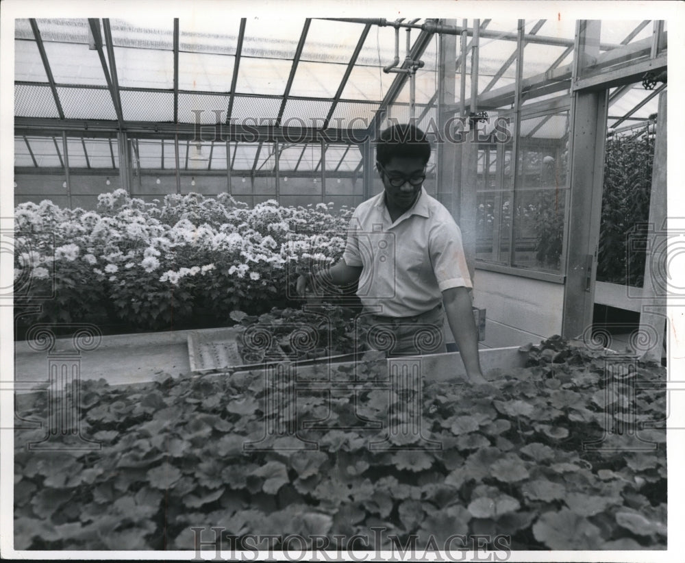 1969 Edward C. Pernbrook in Greenhouse  - Historic Images