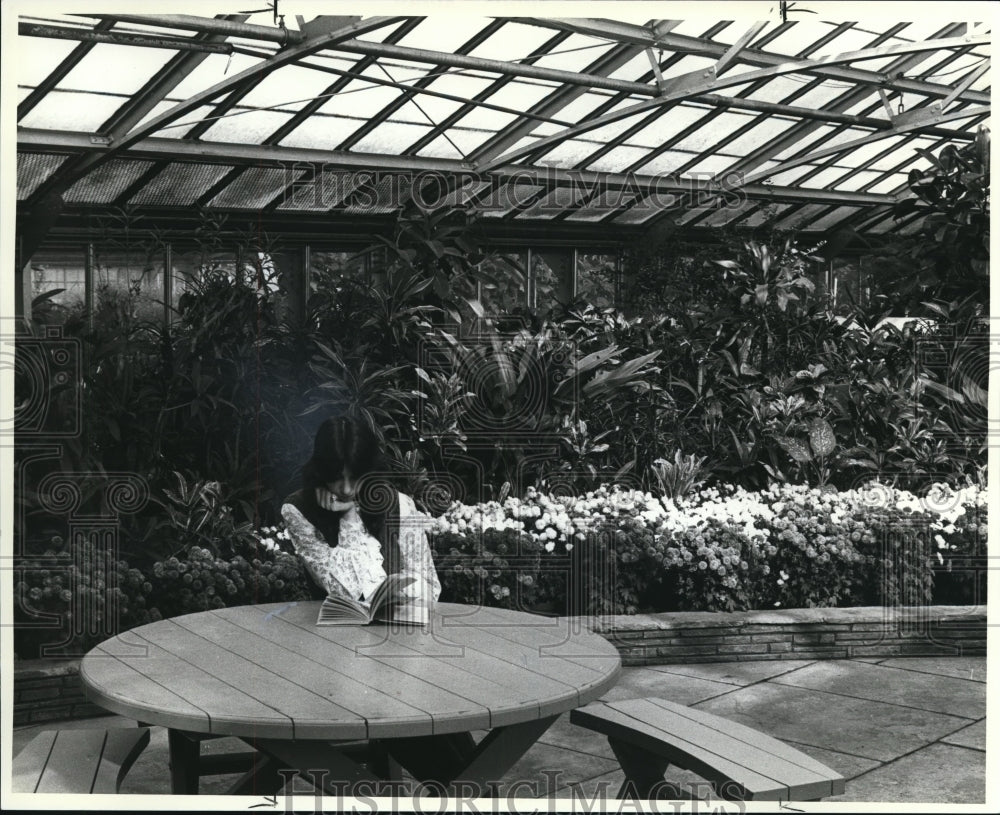 1982 Press Photo Perpetual spring - Historic Images