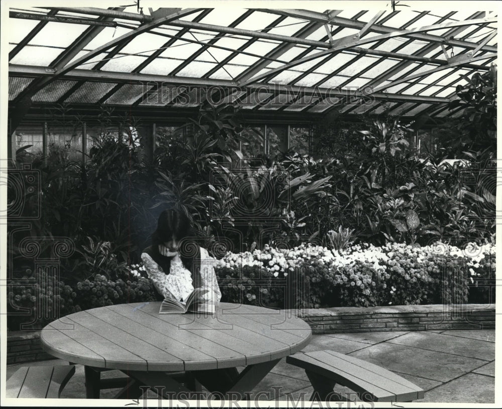 1982 Press Photo Perpetual spring - Historic Images