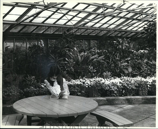 1982 Press Photo Perpetual spring - Historic Images