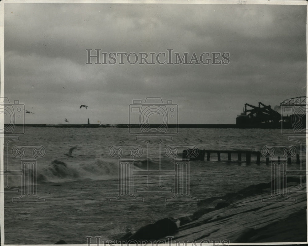 1930 Press Photo The Terns and Seagulls at Edgewater of the Lake - cva87625-Historic Images