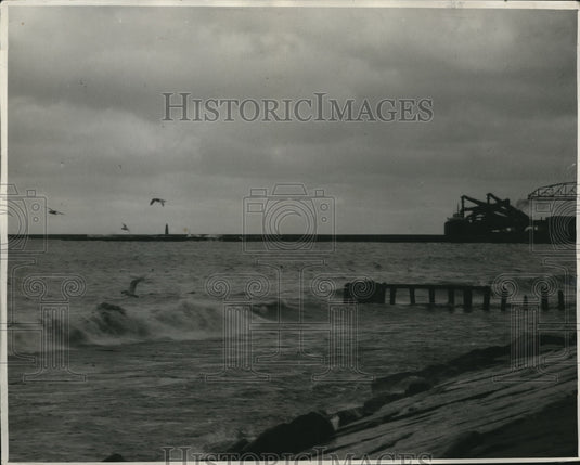 1930 Press Photo The Terns and Seagulls at Edgewater of the Lake - cva87625-Historic Images