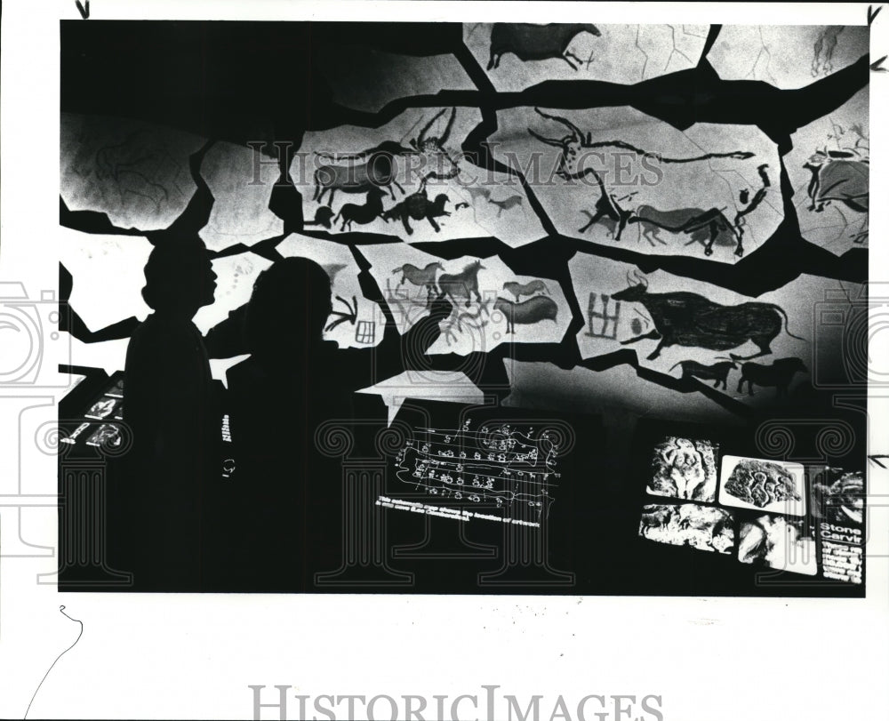 1988 Press Photo Drawings by cavemen at the exhibit at Cleveland Health Museum. - Historic Images