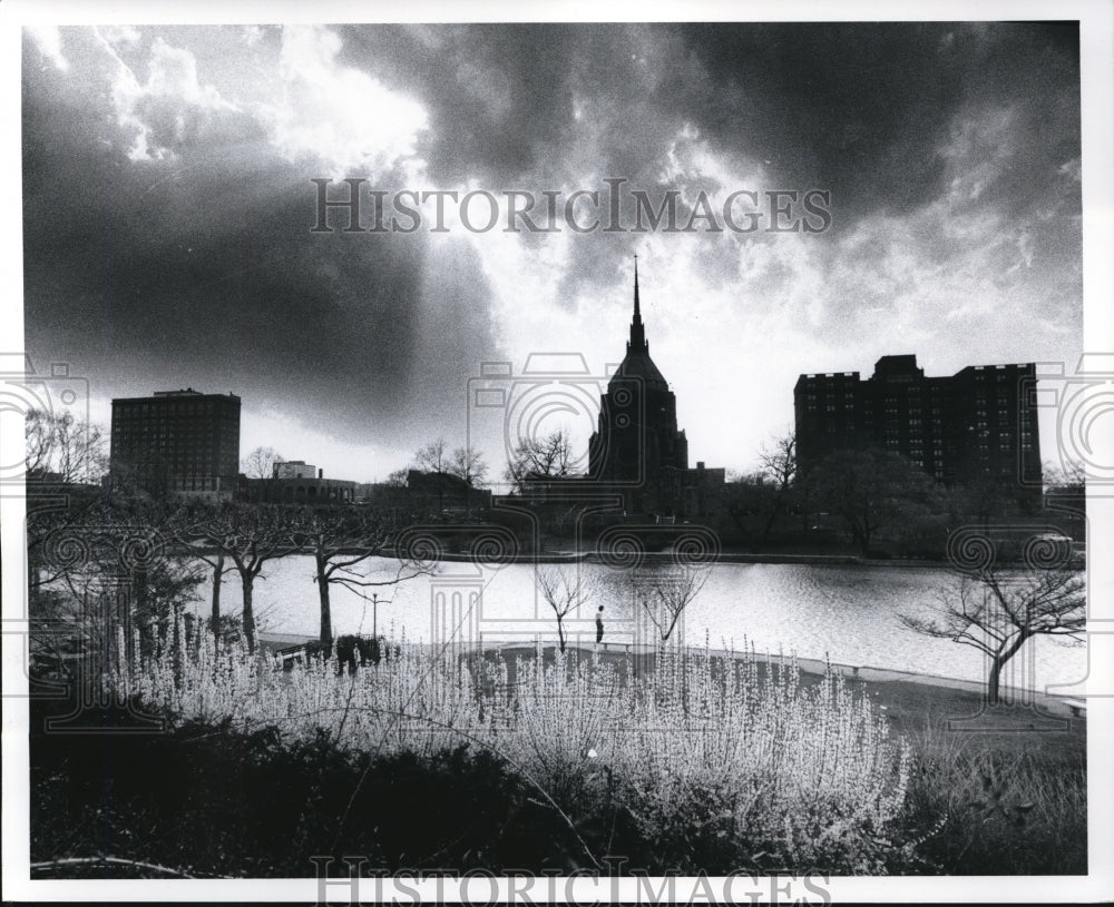 1977 Press Photo Forsythia inBlooms at the Cleveland Art Museum Lagoon. - Historic Images