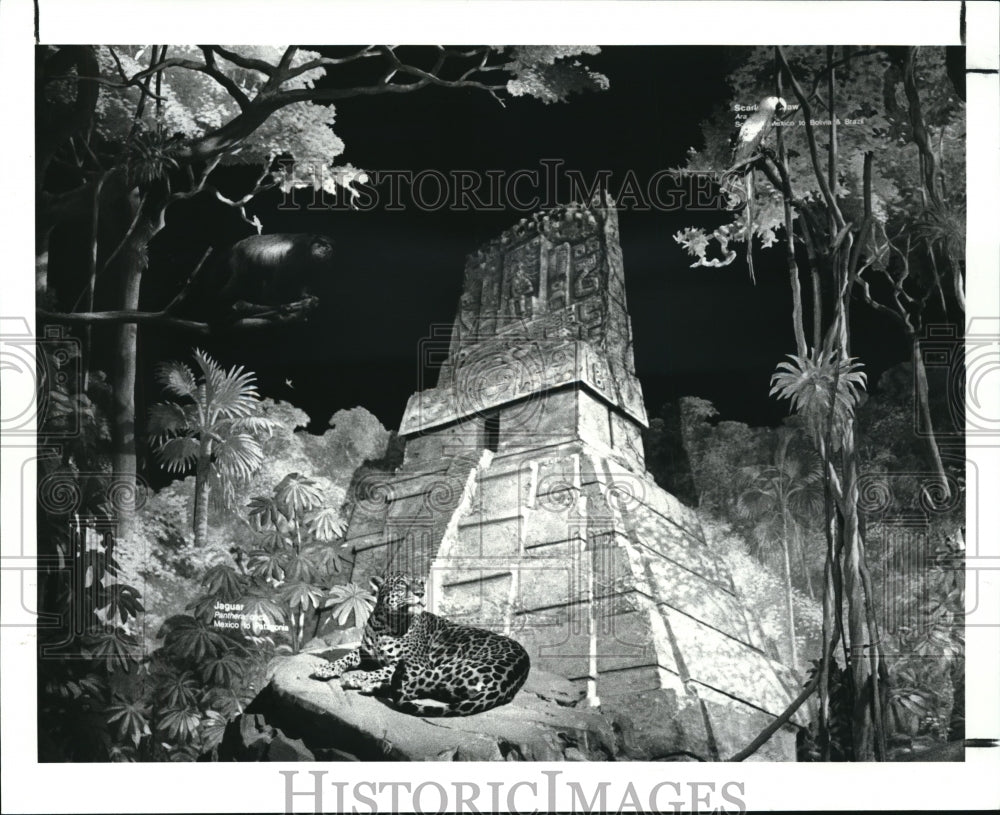 1988 Press Photo Aztec display at the Natural History Museum - Historic Images