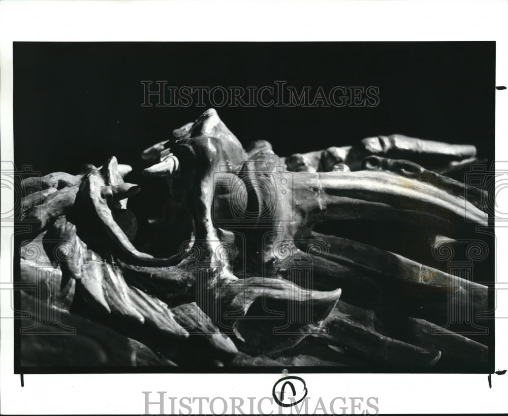 1988 Press Photo  The Chinese Tomb art at the Cleveland Museum of Art - Historic Images