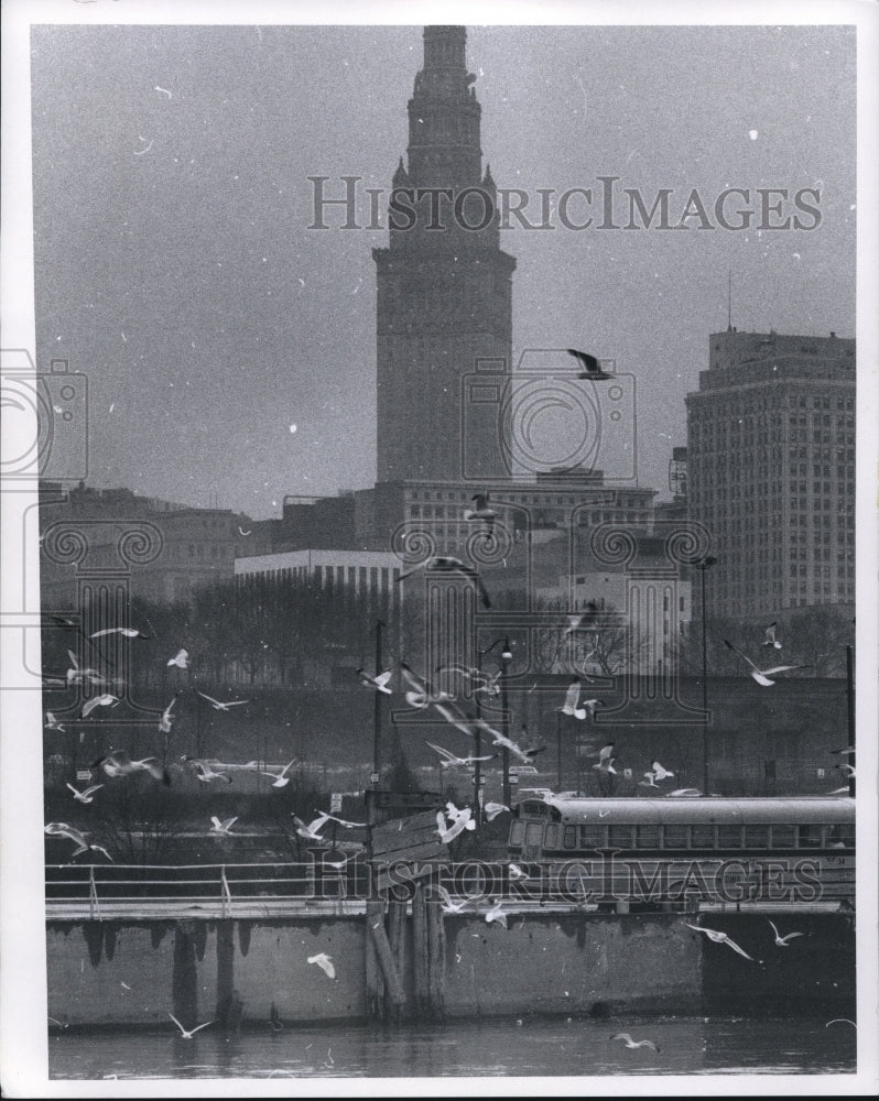 1970 Press Photo Sea gulls flit around E 9th Pier - cva88850 - Historic Images