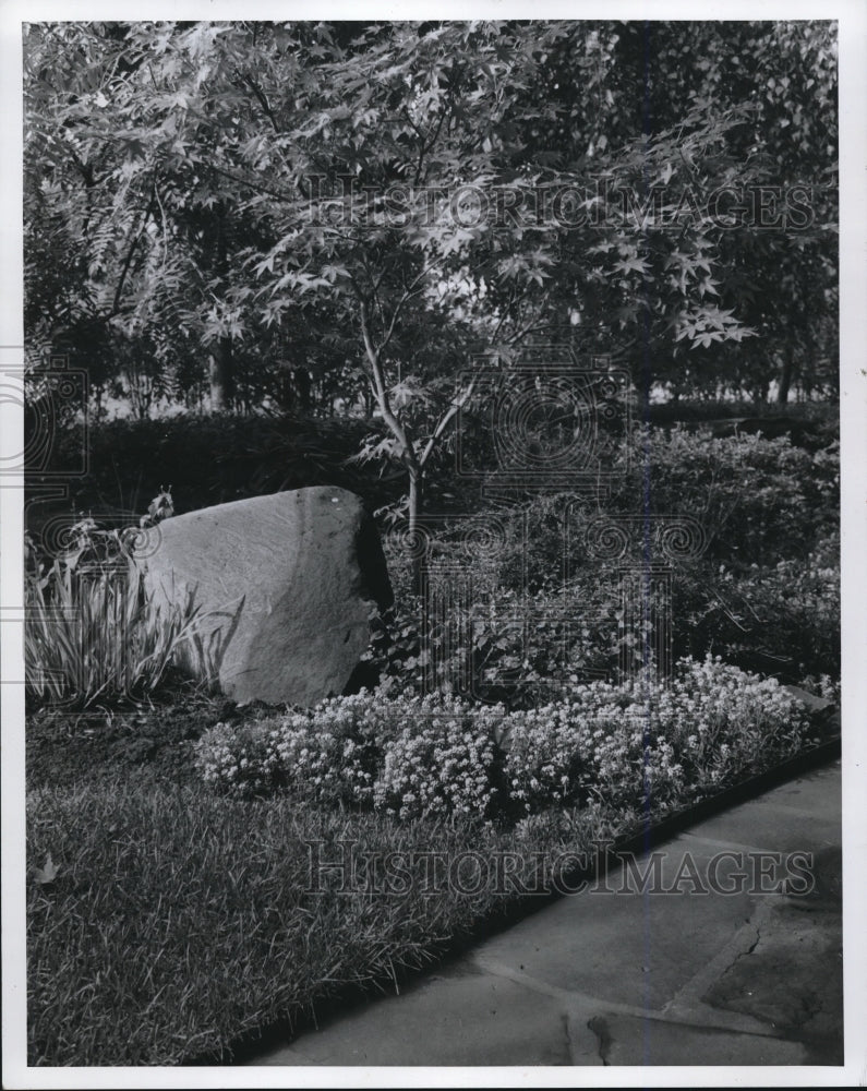 1969 Press Photo The City Greenhouse plants and trees - cva88864 - Historic Images