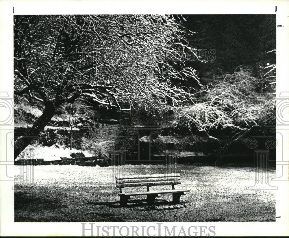 1984 Press Photo Grays Botanical Gardens rear of Cleveland Stadium - Historic Images