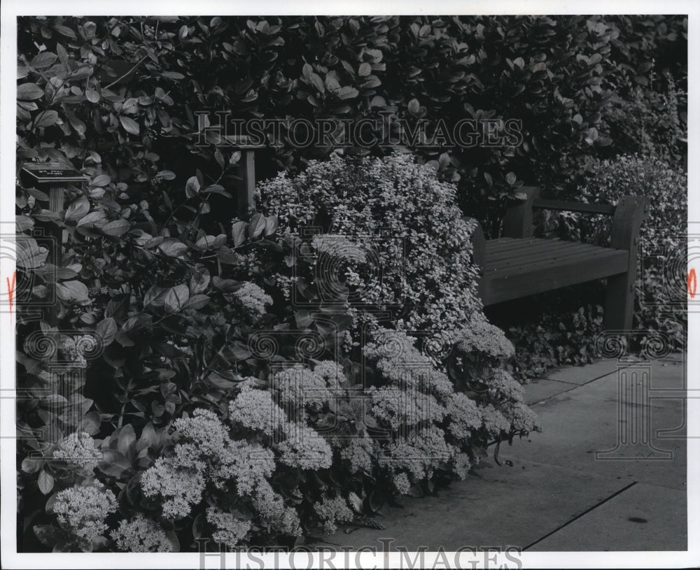 1969 Press Photo Bench at Garden for Blind; sedunes in foreground - cva89367 - Historic Images