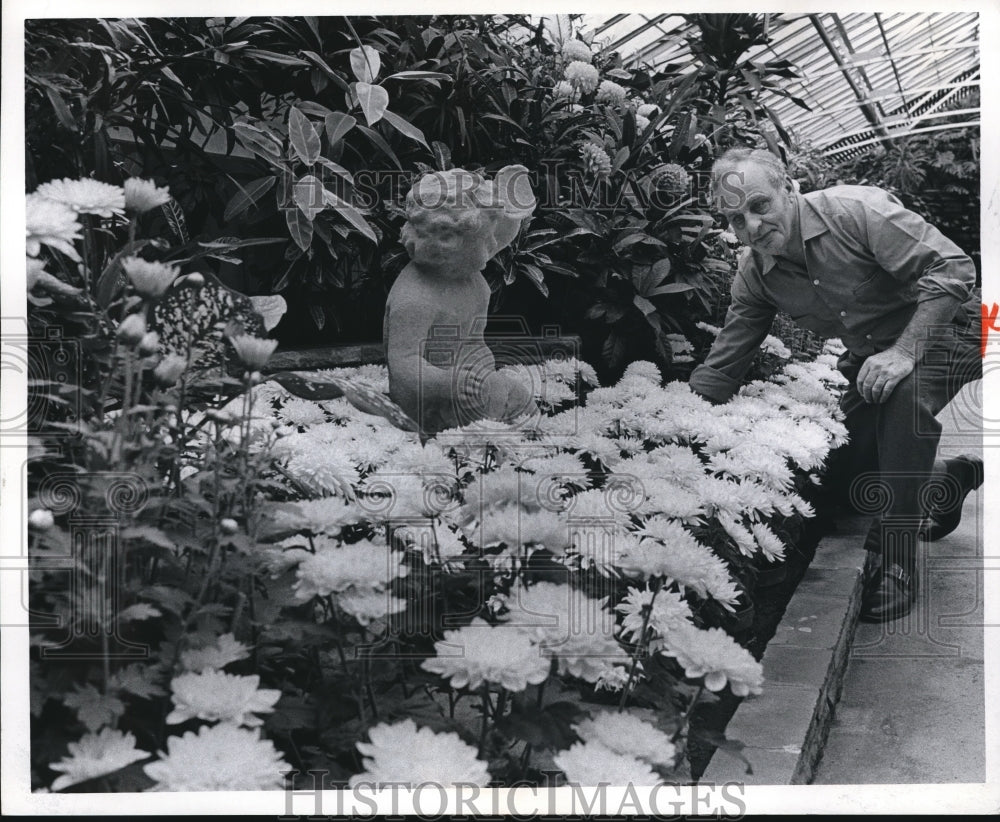 1972 Press Photo Carl Fassbender at Thanksgiving Chrysanthemum Show - cva89369 - Historic Images