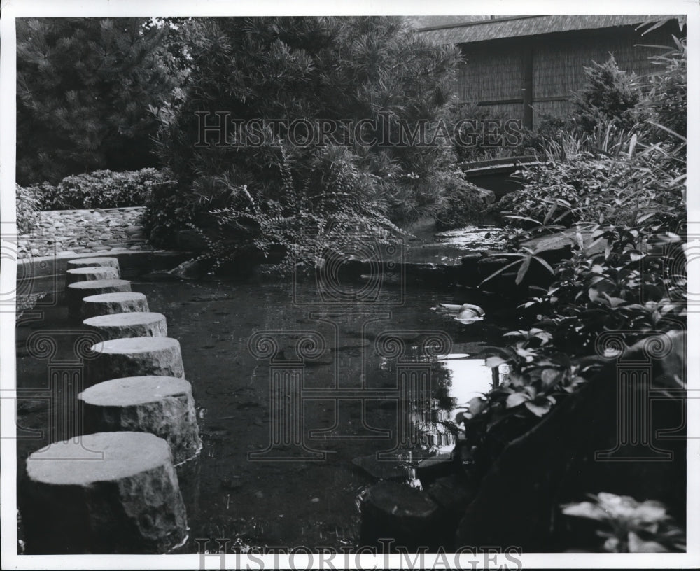 1969 Press Photo Japanese garden at City Greenhouse - cva89370-Historic Images