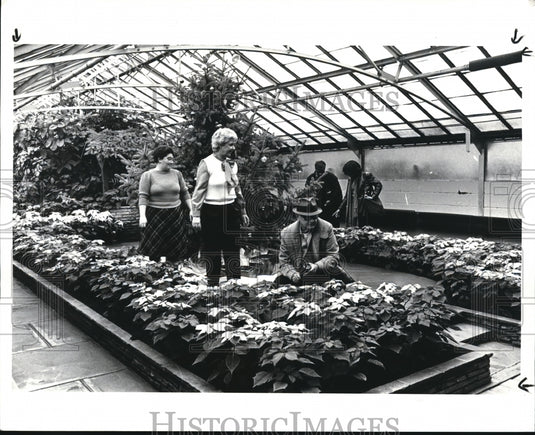 1985 Press Photo Christmas Decorations at the City Greenhouse - Historic Images