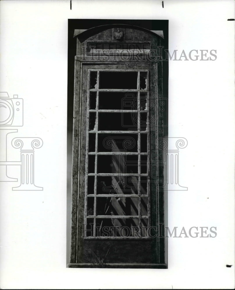 1988 Press Photo Queen Anne&#39;s Lace and English Telephone Booth, Mary Lou Ferbert - Historic Images