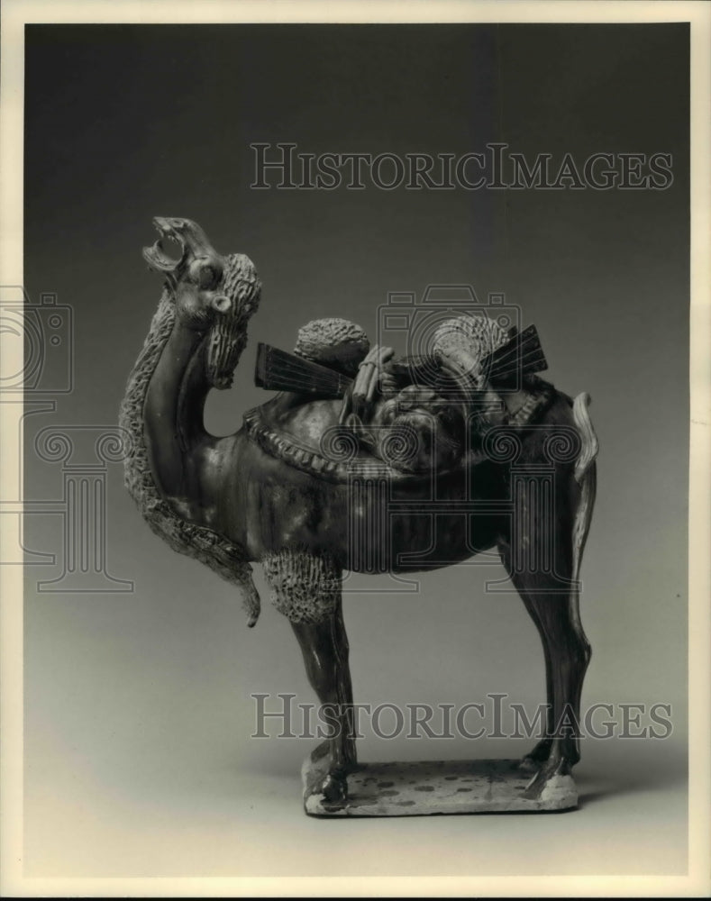 1988 Press Photo Bactrian Camel, Tang Dynasty - Historic Images