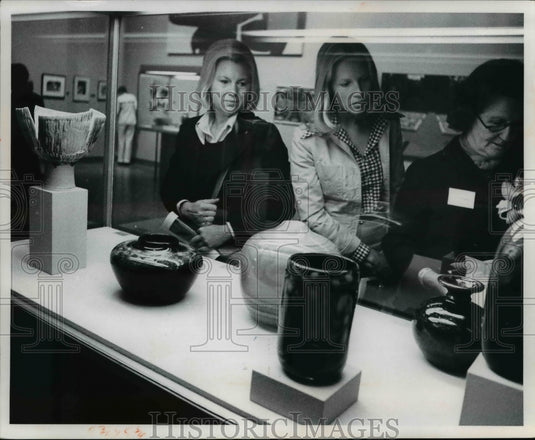1973 Press Photo Art Museum - May Show 1973 - cva91234-Historic Images