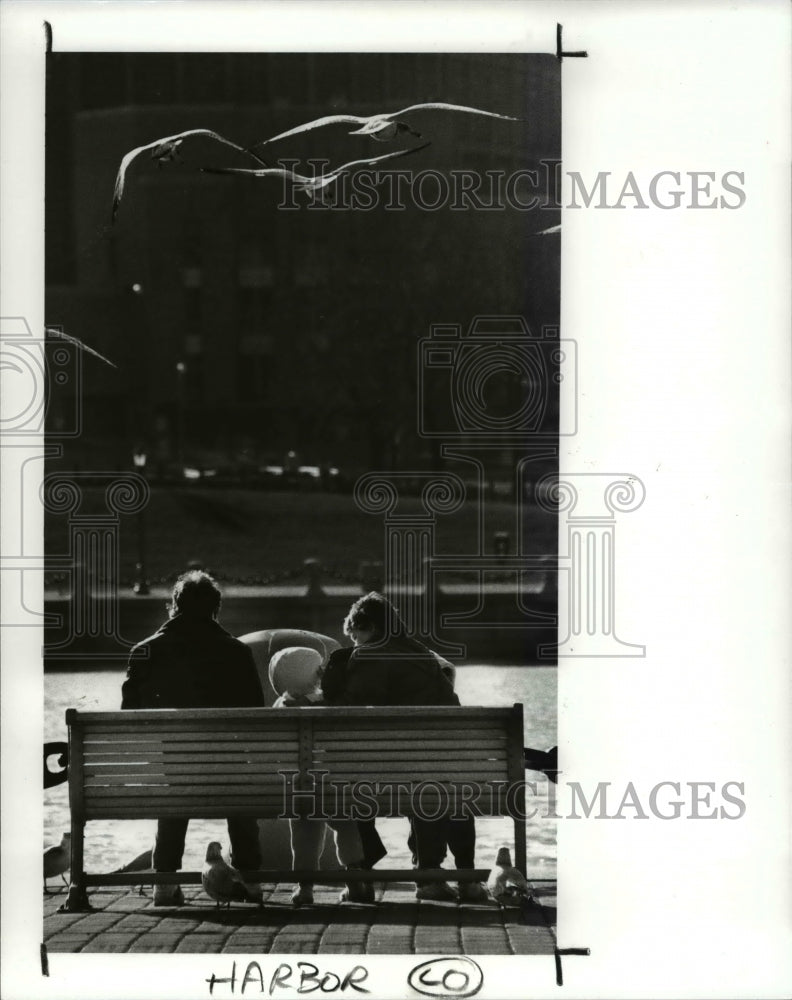 1989 Press Photo Family shares their luncheon with the gulls at the Harbor - Historic Images