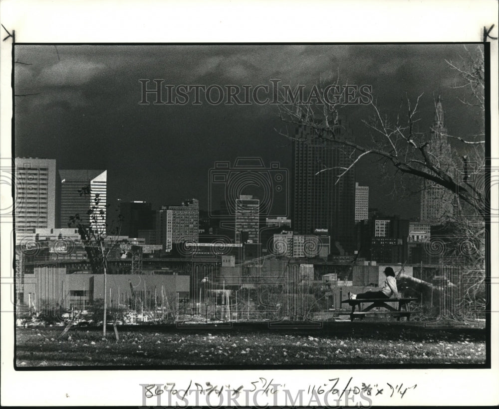 1985 Press Photo General View of Cleveland Skyline from Edgewater Park - Historic Images