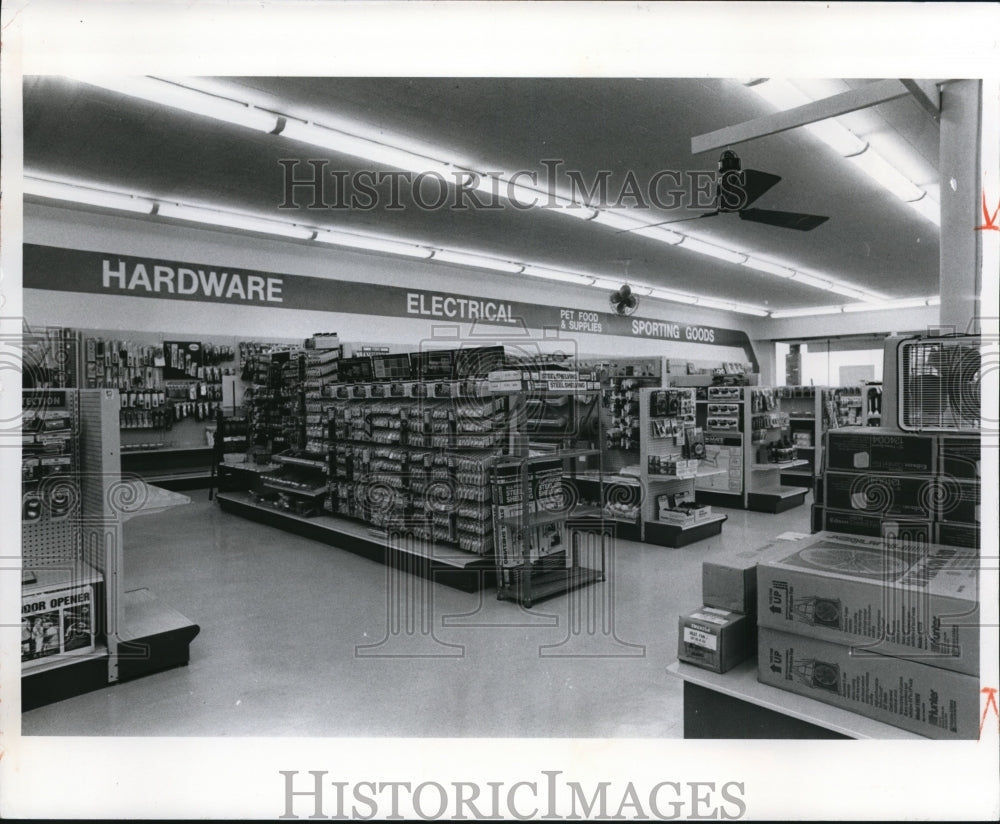 1981 Press Photo Blonders - Historic Images