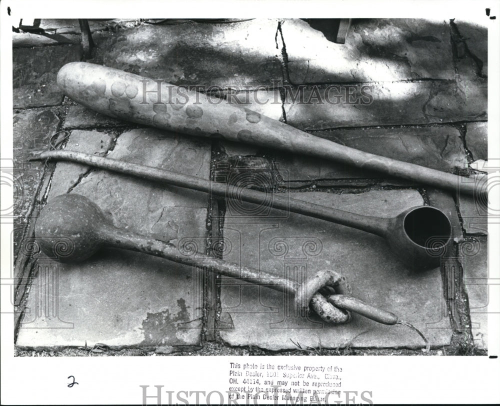 1988 Press Photo Vegetable Dried Gourds. - Historic Images