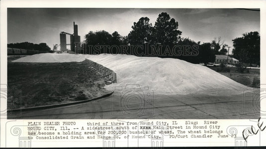 1988 Press Photo A sidestreet south of Main Street in Mound City - Historic Images