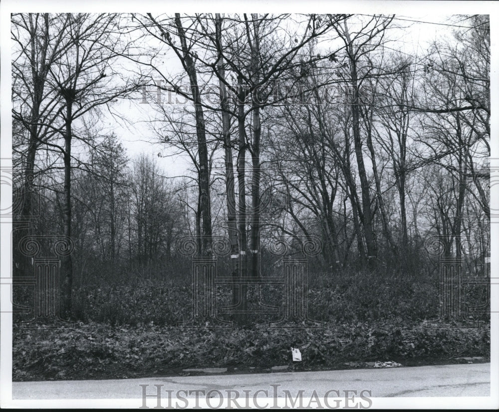 1972 Press Photo The Trees at Vacant Lot Between 2607 and 2635 - cva94167 - Historic Images