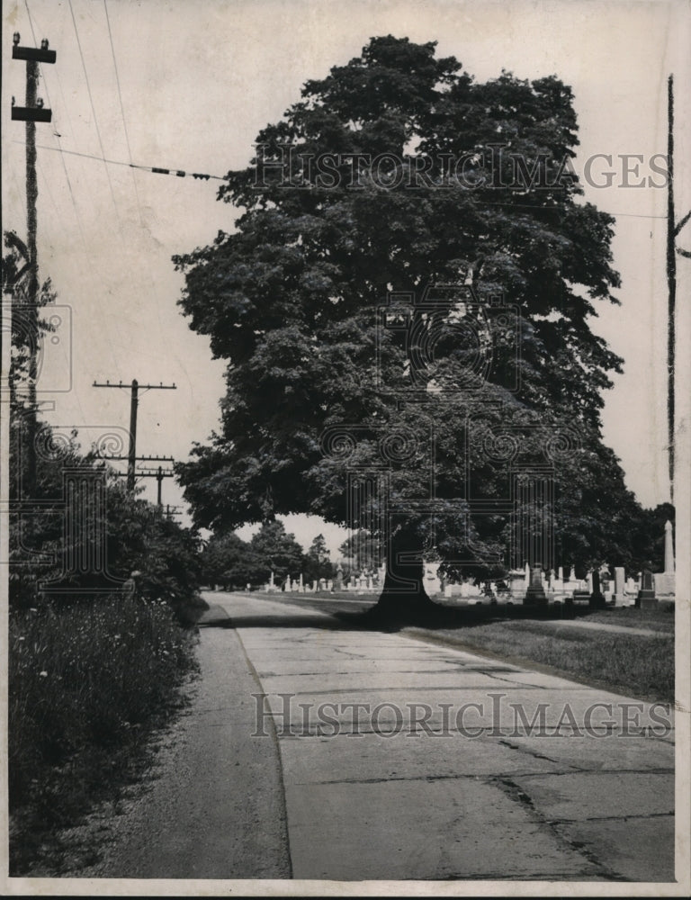 1947 Butternut Ridge Rd  - Historic Images