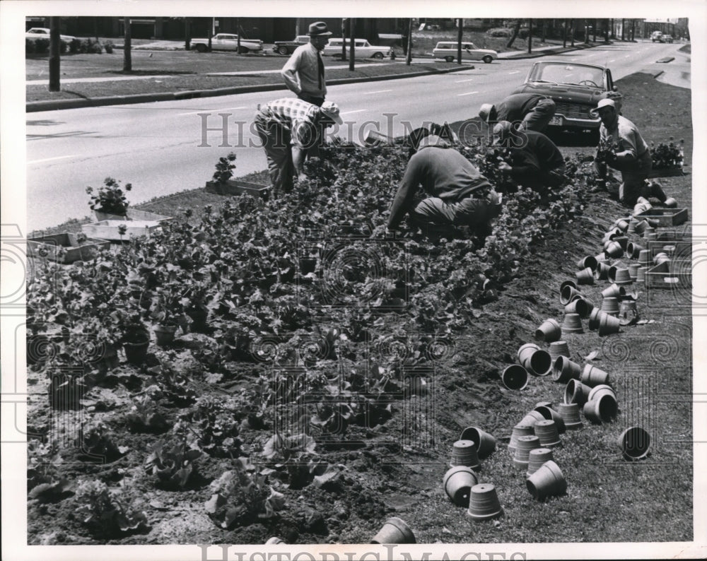 1964 Planting flowers on Chester road  - Historic Images