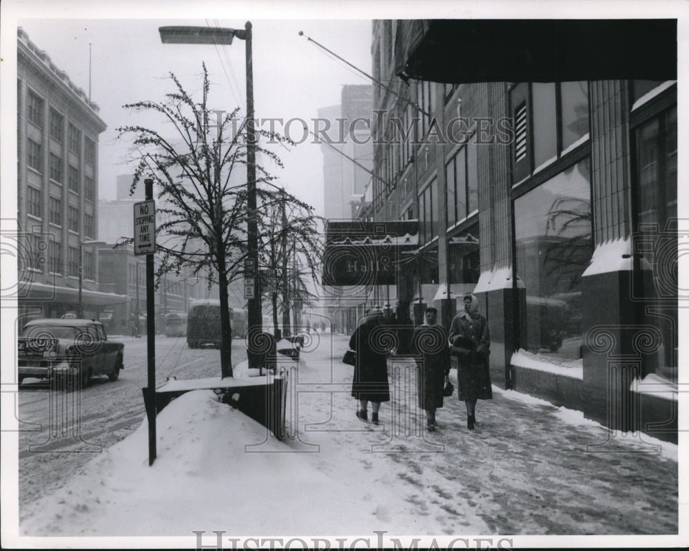 1960 Press Photo Cherry Blossoms in front of Halle&#39;s - cva95098-Historic Images