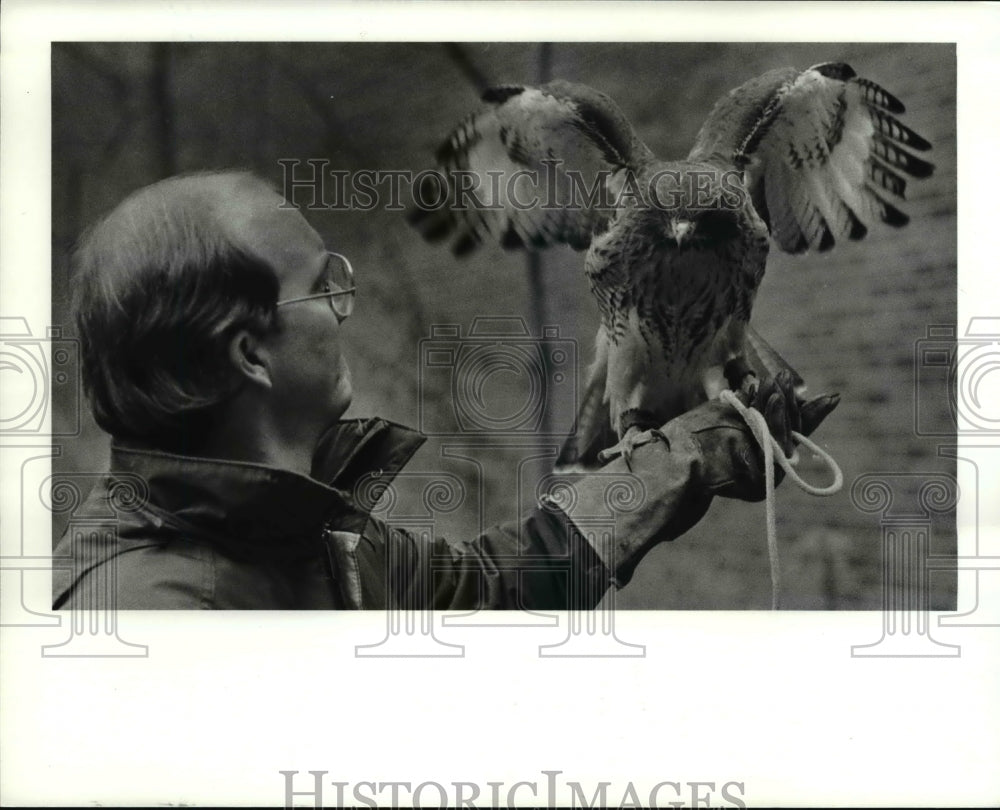 1984 Press Photo Harvey Webster of History Museum with the red tailed hawk - Historic Images