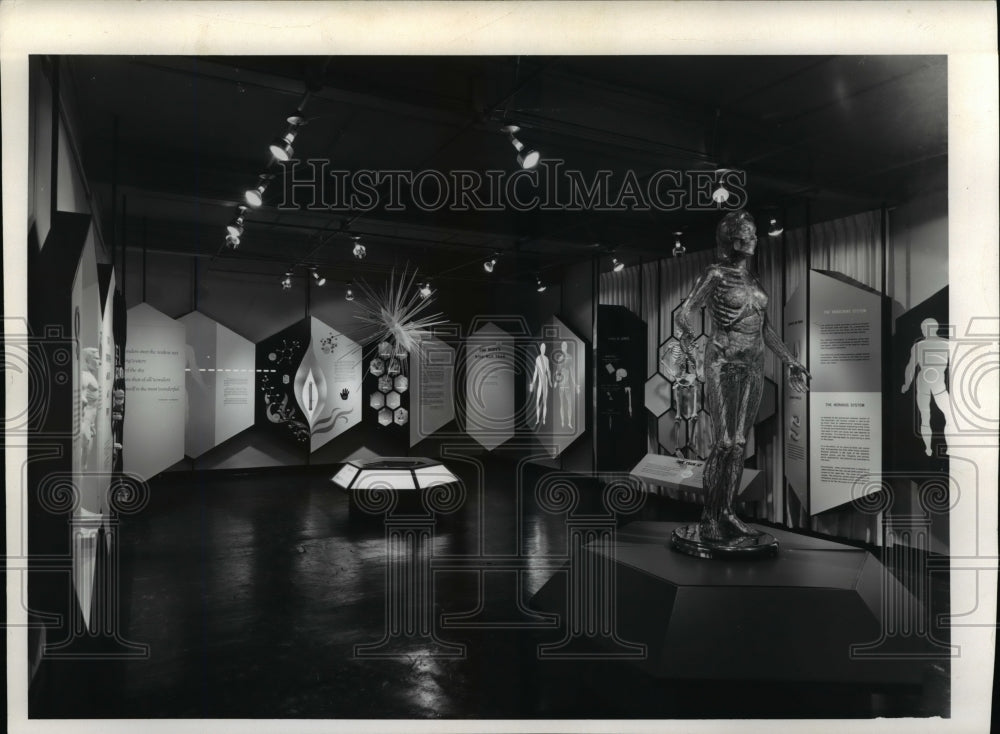 1960 Press Photo Wonder of Life Room at the Museum of Health - cva96971 - Historic Images