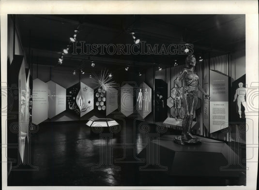 1960 Press Photo Wonder of Life Room at the Museum of Health - cva96971 - Historic Images