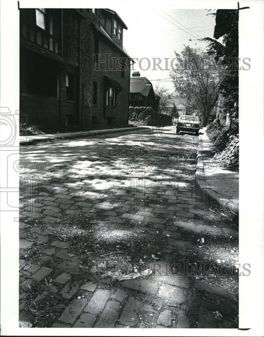 1987 Press Photo Wooden bricks on Hessler Court - Historic Images