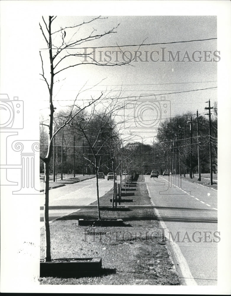 1984 Press Photo Hillard Road - Historic Images