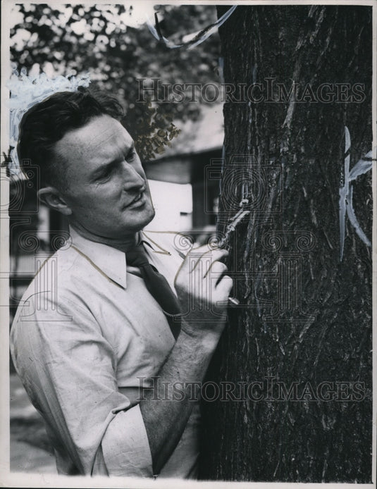 1947 Edward Scanlon, tree commissioner  - Historic Images