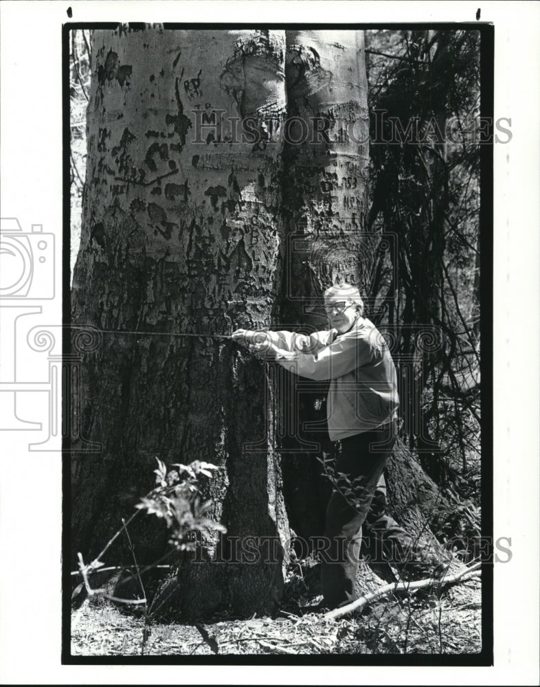 1986 Press Photo Glenn Kitson and the giant American Beech tree - Historic Images