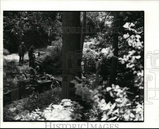 1984 Press Photo University Circle wild flower ravine - cva99537-Historic Images