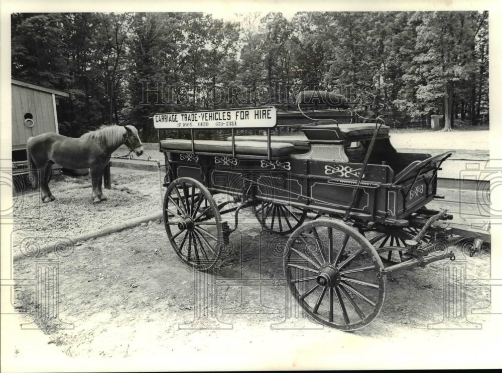 1981 Press Photo Hudson early carriage for hire - Historic Images