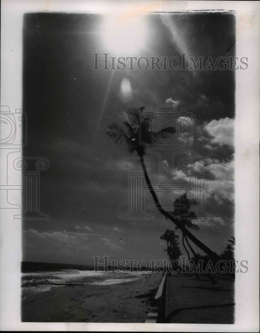 1966 Press Photo Palm Beach, President Kennedy's relax place - Historic Images