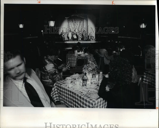 1977 Press Photo Ohio - Millersburg Castle Theater - Historic Images